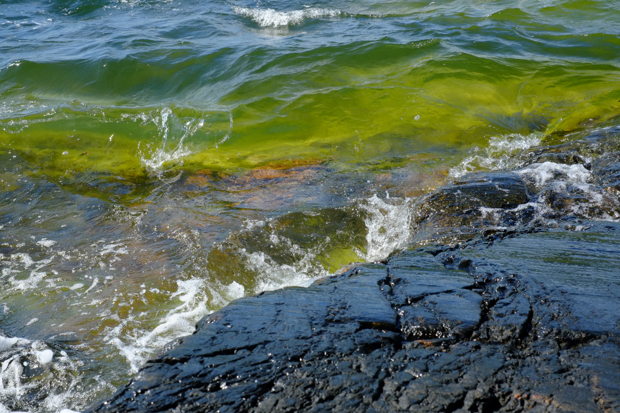 Green algae, waves hitting a rock