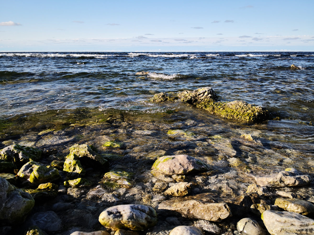 View of the Baltic Sea at a rocky shore in Gotland